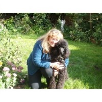 Smartpetz/styling Dogs And Cats West Buckland Somerset Logo 