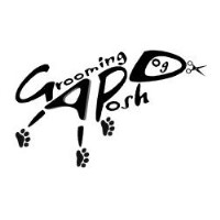 All Posh Dog Grooming And Dog Grooming Courses Long Eaton, Nottingham Derbyshire Logo 