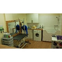 Dog Grooming Gorgeous Swindon Oxfordshire Logo 