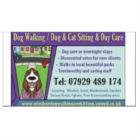 Windsor Dog Walking / Dog & Cat Sitting