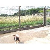 Uplands Farm Boarding Kennels & Cattery Melton Mowbray Leicestershire Logo 
