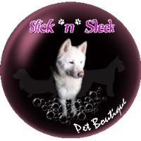Slick N Sleek Pet Boutique Lisburn Lisburn Logo 