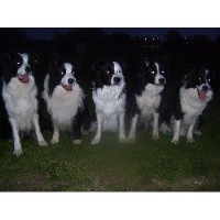 Heads And Tails Kilmarnock East Ayrshire Logo 