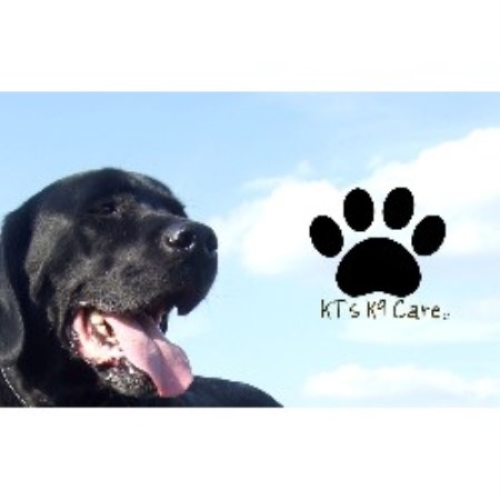 Kt's K9 Care