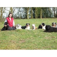 K9 solutions Welwyn Garden City Hertfordshire Logo 