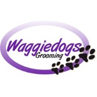 Waggiedogs Grooming South Normanton Derbyshire Logo 