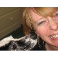 Pet Harmonies Southend Essex Logo 