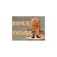 Roxie Delux Birmingham West Midlands Logo 