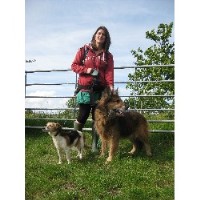 Wookey Walkies Wells Somerset Logo 