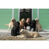 Wadebridge Boarding Kennels Wadebridge Cornwall Logo 