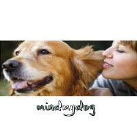 Mind My Dog Poole Dorset Logo 