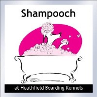 Shampooch Grooming Salon Bewdley Worcestershire Logo 