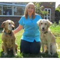 Pooches Paws Worthing West Sussex Logo 