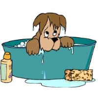 Posh Pets Uk Cliffsend, Ramsgate Kent Logo 