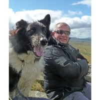 Dog Training Gravesend Kent Logo 