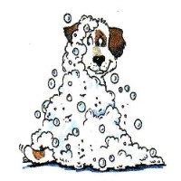 Dreamsett Kennels N Grooming Burntwood Staffordshire Logo 