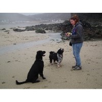 Muddy Paws Truro Cornwall Logo 