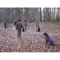 Barking Success Washington, Pulborough West Sussex Logo 