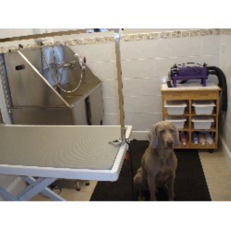 Laundro-Mutt Dog Grooming