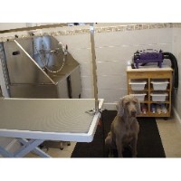 Laundro-Mutt Dog Grooming Burntwood Staffordshire Logo 