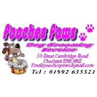 Pooches Paws Cheshunt Hertfordshire Logo 
