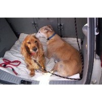 Doggie Sleepovers Lincoln Lincolnshire Logo 