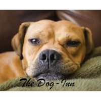 The Dog - Inn Margate Kent Logo 