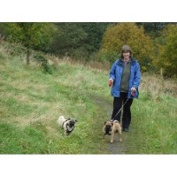 S&j Pet Services Blackburn Lancashire Logo 