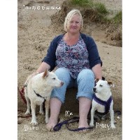 Best Friends Pet Dog Training And Behaviour Bradford West Yorkshire Logo 