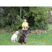 Fur,feather & Fish Newport Caerphilly Logo 