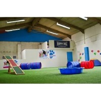 Doggy Daycare Cullybackey Ballymena Logo 