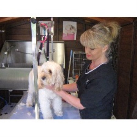 Loveable Paws Dog Grooming