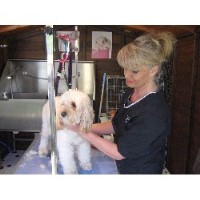 Loveable Paws Dog Grooming Congleton Cheshire Logo 