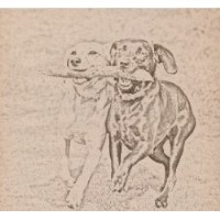 Pooches Play Pals Wallington Greater London Logo 