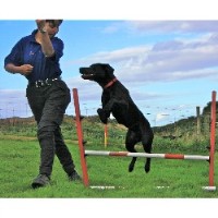 K9 Dog Run  Day Activity Gym At K9 Health Centre Portlethen Aberdeenshire Logo 