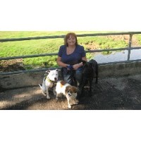 Leicesters Pet Nanny & Dog Training Leicester Leicestershire Logo 
