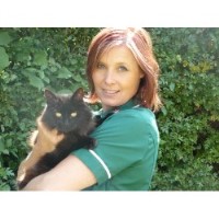 Kim's Loves Pets Maidenhead Berkshire Logo 