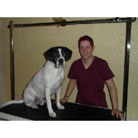 K9qts Bristol Avon Logo 