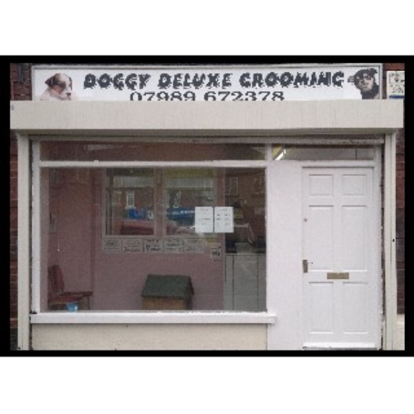Dog Grooming