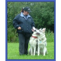Dog Training 121 Preston Lancashire Logo 