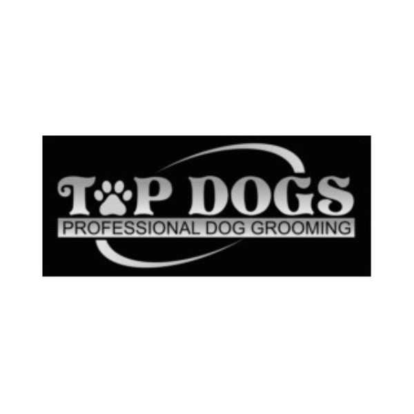 Dog Grooming By Nicole Baigent