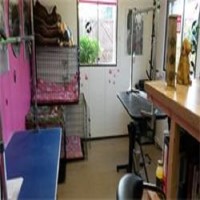 Paws Galore Bridgend Bridgend Logo 