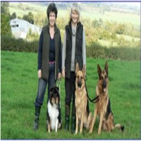 Ambassador Dog Training Wellington Somerset Logo 