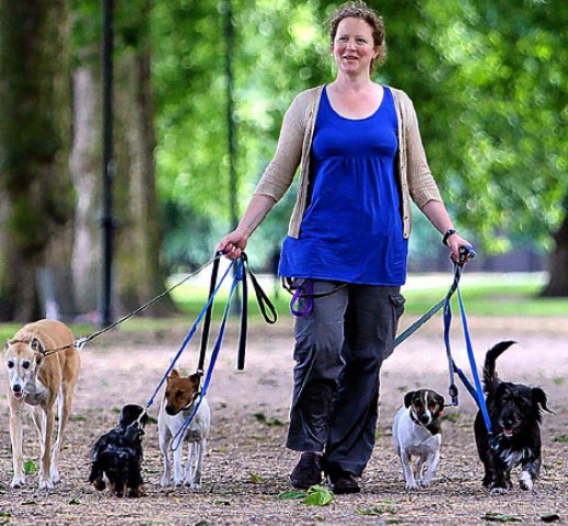 Cornwall home dog boarding