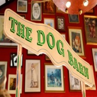 The Dog Barn Grooming Parlour St Helens Merseyside Logo 