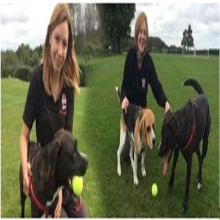 We Love Pets (Reading)