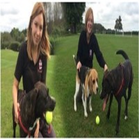 We Love Pets (Reading) Reading Berkshire Logo 