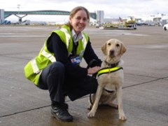 Calm And Content Dogs Bsc (Hons) Uckfield East Sussex Logo 