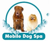 Doctor Dog Wash Deal Kent Logo 