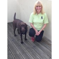 Pop's Pals Oakdale Caerphilly Logo 